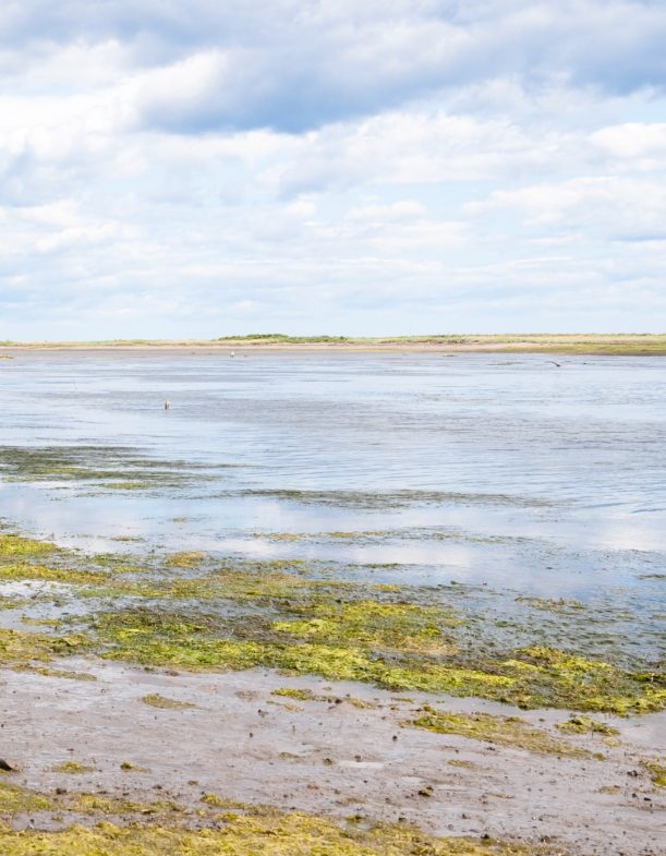 boat-waiting-for-high-tide-on-the-beach-of-stomer-picture-id118318019 (1) boat-waiting-for-high-tide-on-the-beach-of-stomer-picture-id118318019 (1)