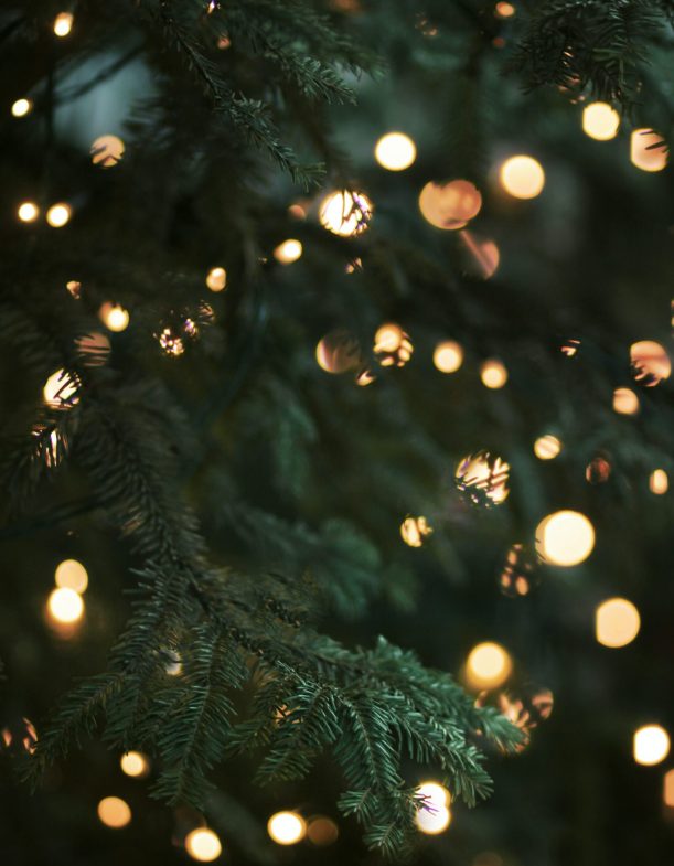 noel-offre-hiver-reveillon-hotel-golf-saint-omer-audomarois Noël et Réveillon dans l'Audomarois